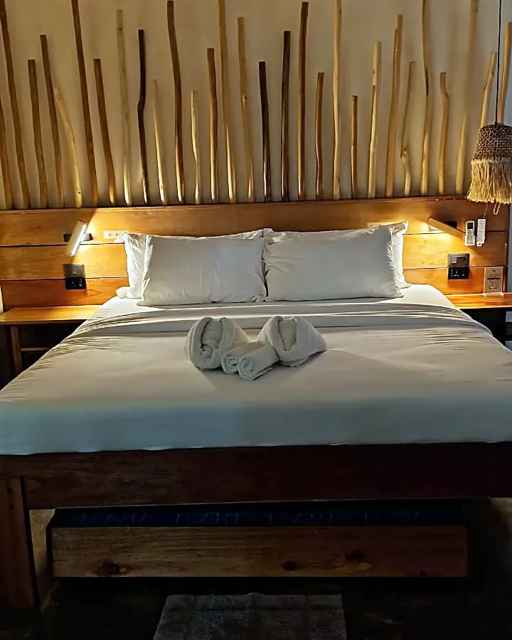 Standard King room with king bed